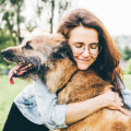 Senior Dog Care: What Every Dog Owner Should Know