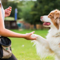 The Ultimate Guide to Training Your Dog: Tips from an Expert