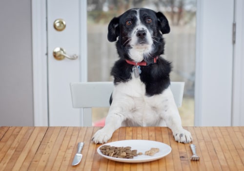 The Importance of Proper Dog Food Portions for Optimal Health