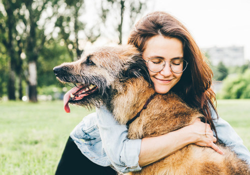 Senior Dog Care: What Every Dog Owner Should Know